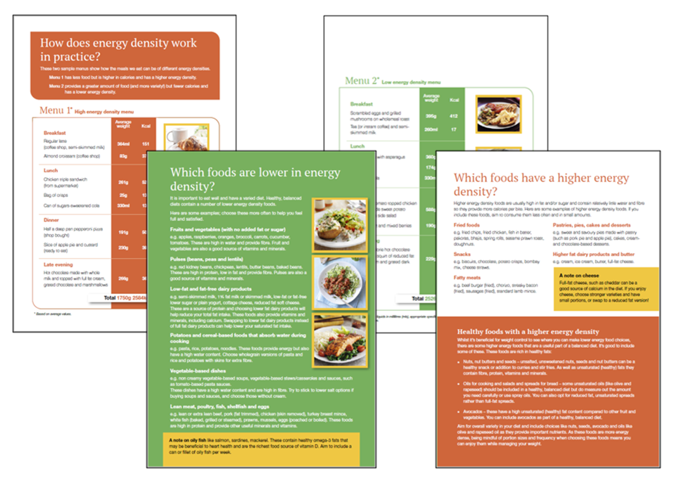 The Energy Density Approach British Nutrition Foundation