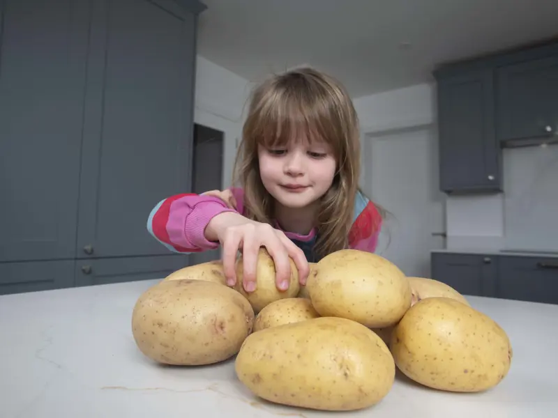 A little girl reaching to pick up a potato from a pile of raw potatoes on a kitchen worktop loading=